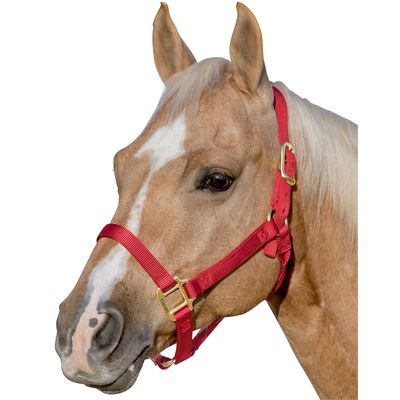WEAVER LEATHER Halfter Original Non-Adjustable