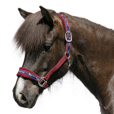 Horse-friends Webhalfter Take it Isi rot | Pony