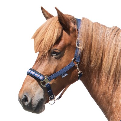 Horse-friends Island-Halfter Keflavik – Ansicht 1
