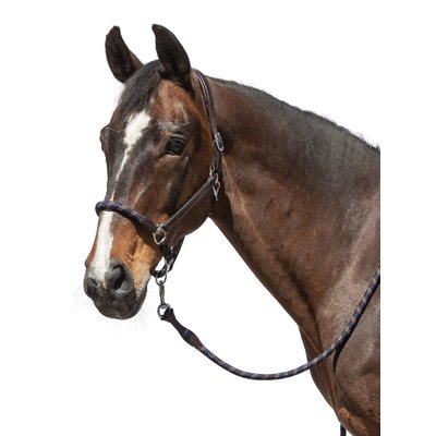 L-pro West Lederhalfter Combination