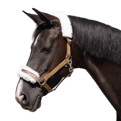 Horse-friends Halfter Herzilein 