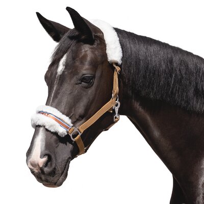 Horse-friends Halfter Herzilein