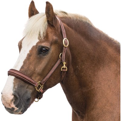 Loesdau Lederhalfter Boston 