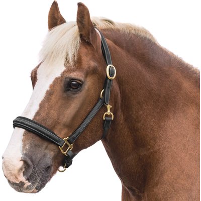 Loesdau Lederhalfter Boston 