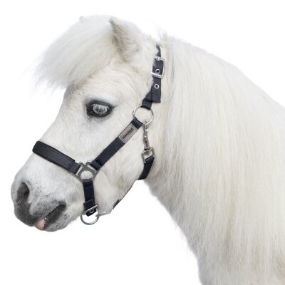 Horse-friends Halfter 