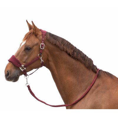 Horse-friends Halfter-Set Rouen bordeaux | Pony
