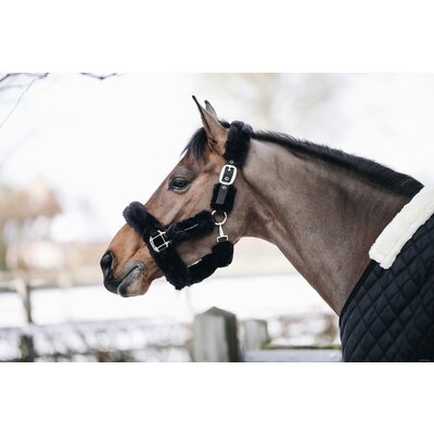 KENTUCKY Lammfell-Transport-Halfter