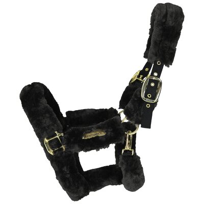 KENTUCKY Lammfell-Transport-Halfter black | Vollblut