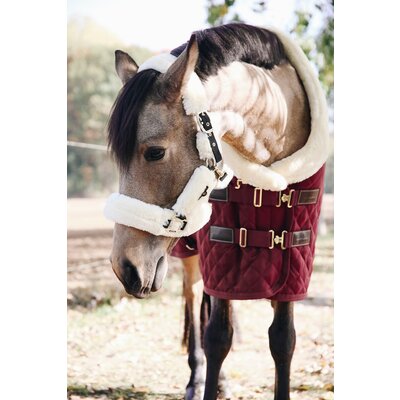 KENTUCKY Lammfell-Transport-Halfter