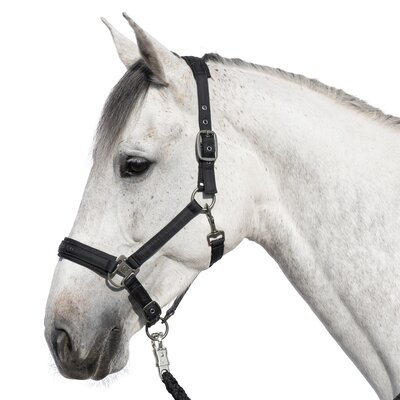 Cheval de Luxe Halfter Lyon 