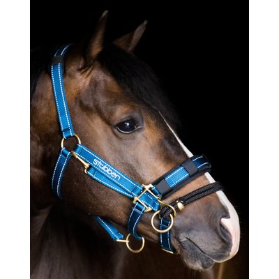 Stübben LK-Controller für Stallhalfter
