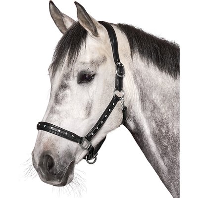 Cheval de Luxe Lederhalfter Adelaide schwarz | Vollblut