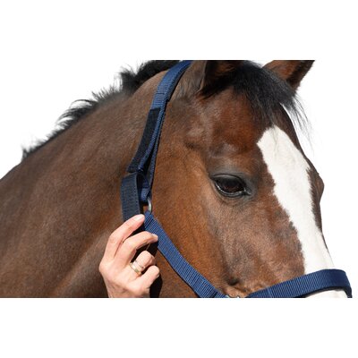 Horse-friends Sicherheits-Halfter