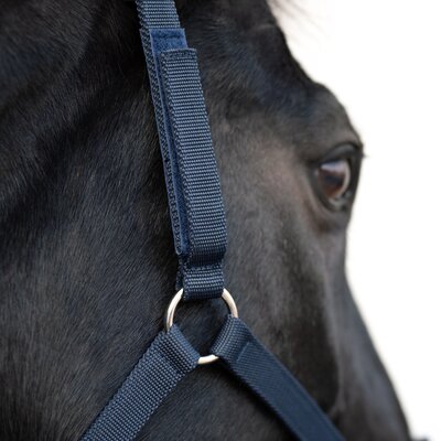 Horse-friends Sicherheits-Halfter
