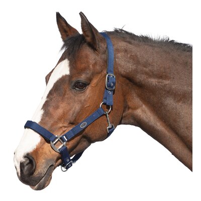 Horse-friends Sicherheits-Halfter blau | Warmblut