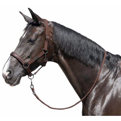 Cheval de Luxe Halfter Limoges chocolate | Vollblut
