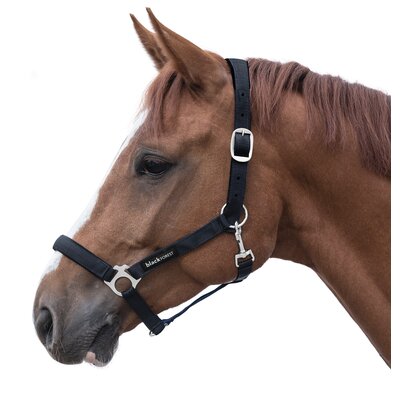 black forest Halfter black | Warmblut