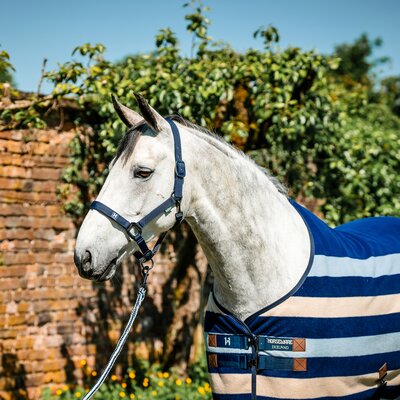 HORSEWARE Halfter und Führstrick Newmarket