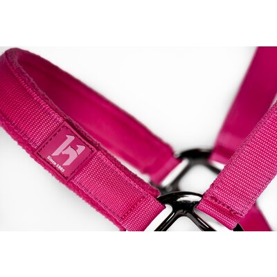HORSEWARE Halfter und Führstrick Newmarket