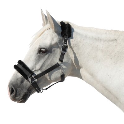 Cheval de Luxe Halfter Manila 
