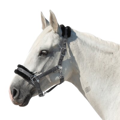 Cheval de Luxe Halfter Manila 