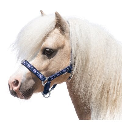 Horse-friends Halfter navy unicorn | Shetty
