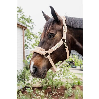KENTUCKY Teddyfleece-Halfter