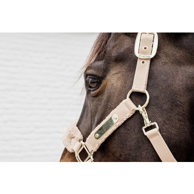 KENTUCKY Teddyfleece-Halfter