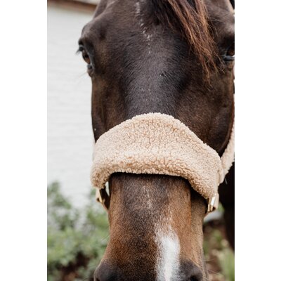 KENTUCKY Teddyfleece-Halfter