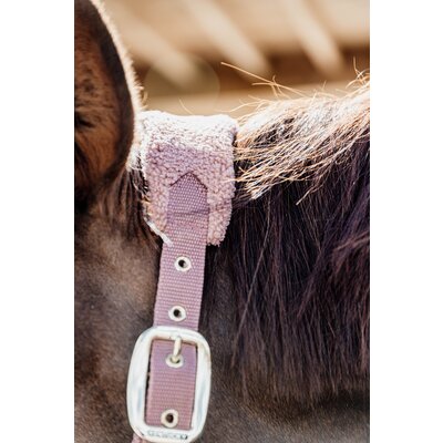KENTUCKY Teddyfleece-Halfter