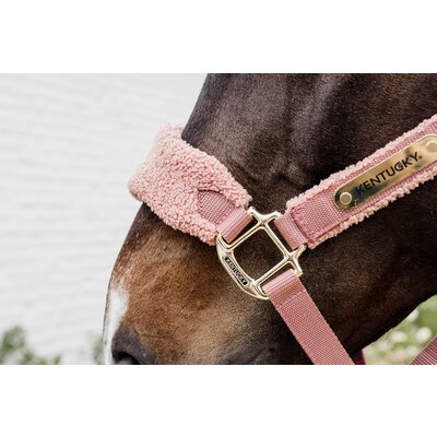 KENTUCKY Teddyfleece-Halfter