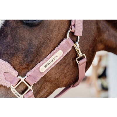 KENTUCKY Teddyfleece-Halfter