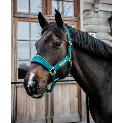 KENTUCKY Halfter Velvet
