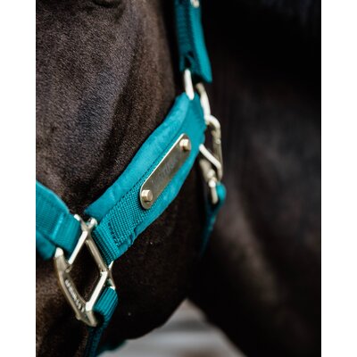 KENTUCKY Halfter Velvet