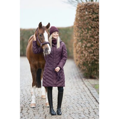 Cheval de Luxe Halfter