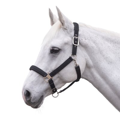 RIDE now Halfter schwarz glitzer | Pony
