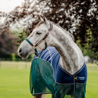 HORSEWARE Signature Halfter Braided