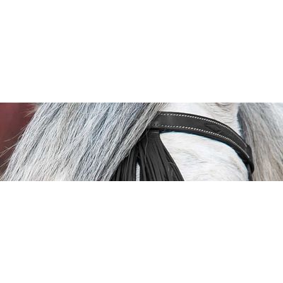 Spanischer Trensenzaum – Ansicht 2