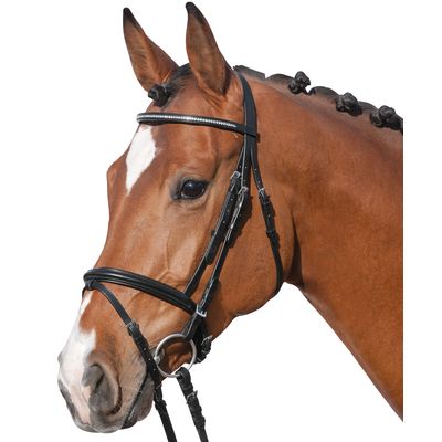 Loesdau Trensenzaum Diamond II schwarz | Pony