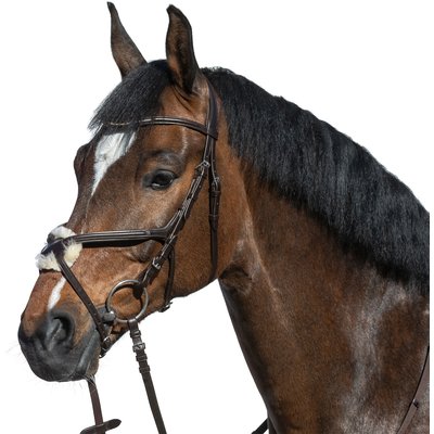 Cheval de Luxe Trensenzaum Miami 