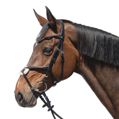Cheval de Luxe Trensenzaum Miami schwarz | Warmblut