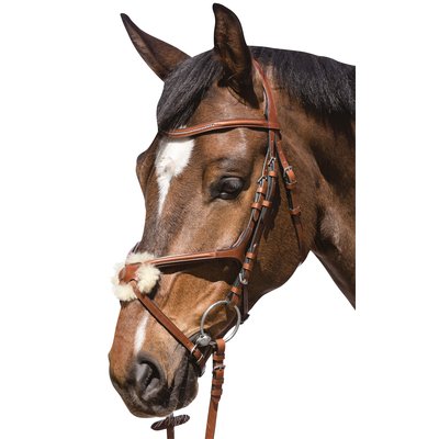 Cheval de Luxe Trensenzaum Miami tobacco | Warmblut