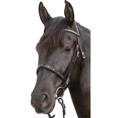 Loesdau Trensenzaum Saumur schwarz | Warmblut