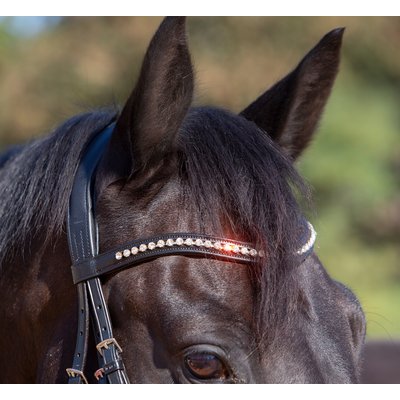 kieffer Trensenzaum Kieffer Ultrasoft® Sue