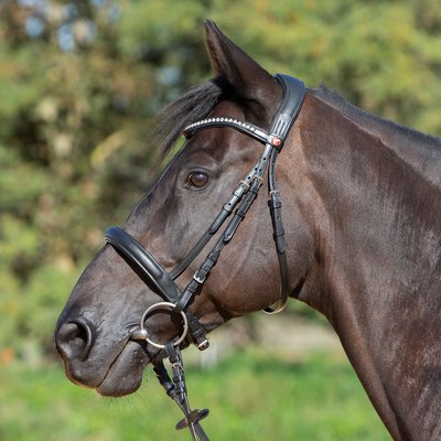 kieffer Trensenzaum Kieffer Ultrasoft® Sue schwarz | Warmblut