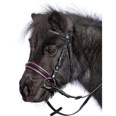 Loesdau Trensenzaum Orlando – Ansicht 1