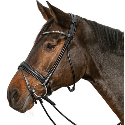 Cheval de Luxe Trensenzaum Montpellier 