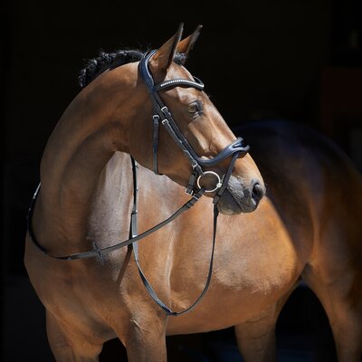 kieffer Trensenzaum Softtech Line Anouk