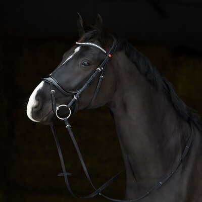 kieffer Trensenzaum Ultrasoft Amy Shine