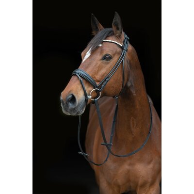 Cheval de Luxe Trensenzaum Barranquilla schwarz | Vollblut